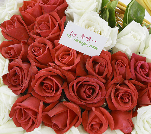 Senden Sie einen Korb mit roten Rosen und weißen Rosen nach China