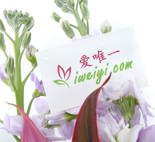 Envoyer un vase de fleurs en Chine