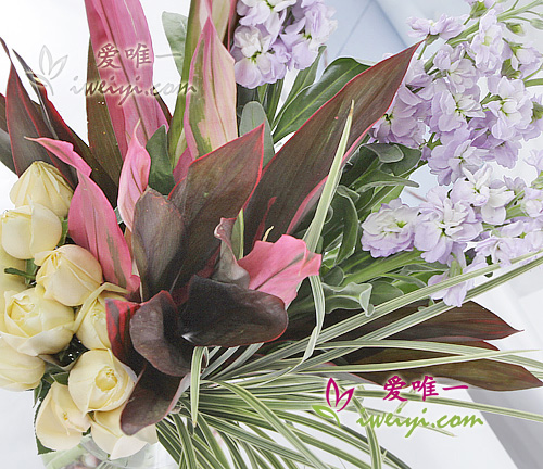 Vase mit Champagner-Rosen