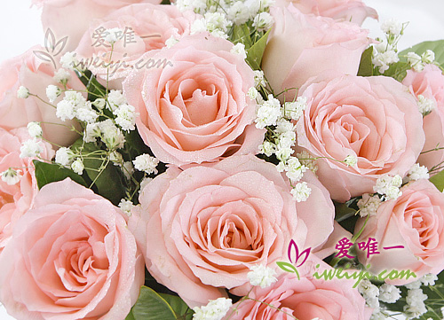Send a vase of pink roses to China