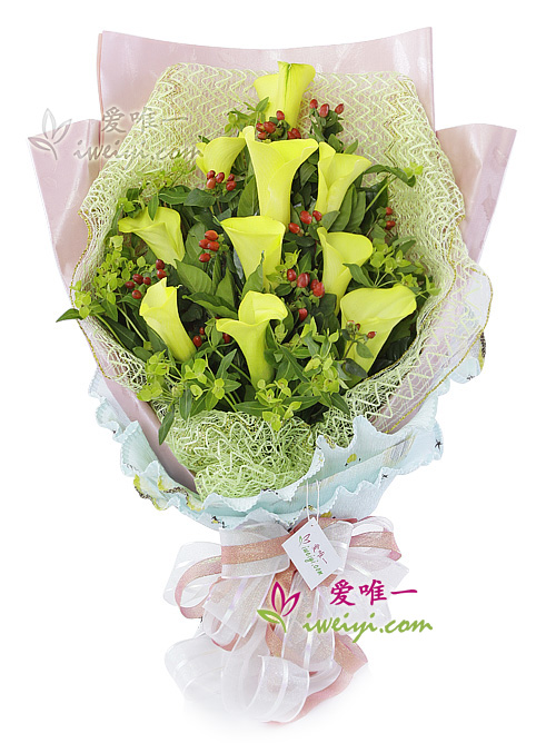 一束鮮花“命運之輪”