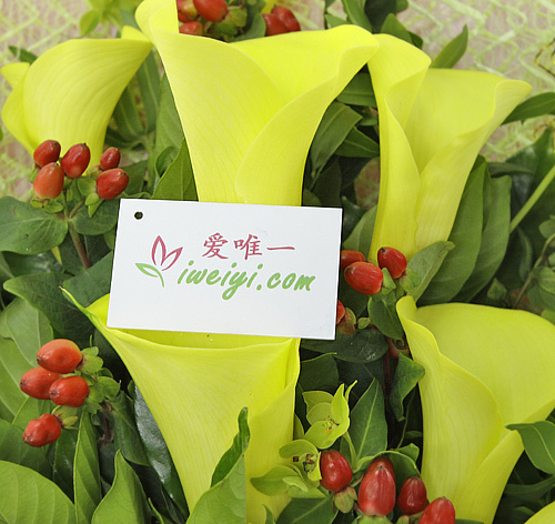 send a bouquet of yellow calla lilies to China