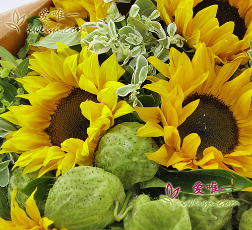 beautiful bouquet of sunflowers