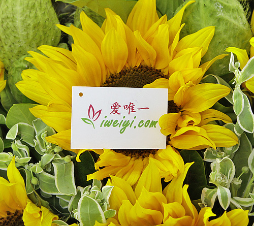 invia un bouquet di girasoli in Cina