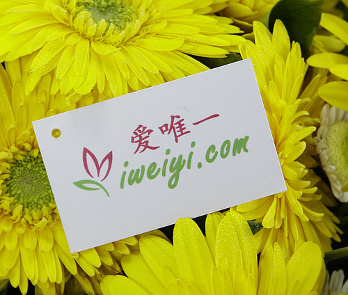 send a bouquet of yellow gerberas to China