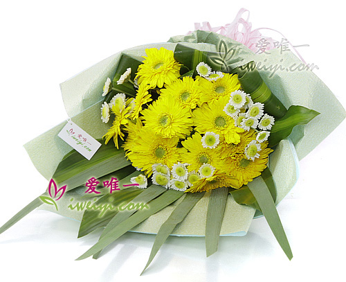bouquet of 13 yellow gerberas