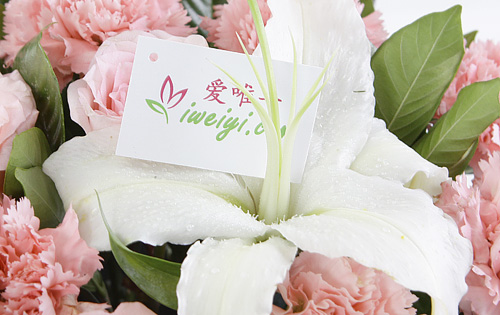 send a basket of pink roses, pink carnations and white lilies to China