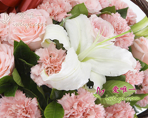 white perfume lilies