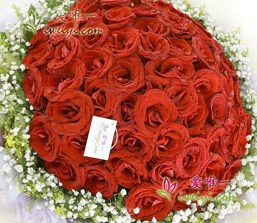 bouquet de roses