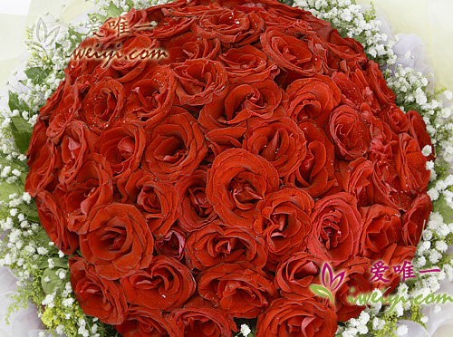 bouquet of 99 red roses