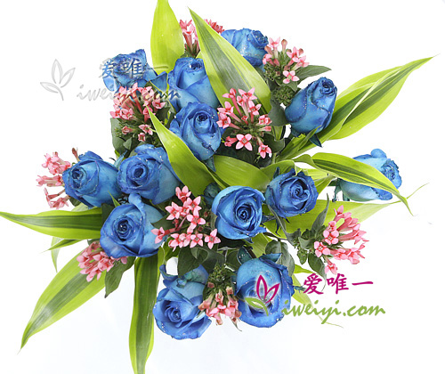 Diese Vase mit blauen Rosen kann überall in China geliefert werden, einschließlich Hongkong, Macau und Taiwan.