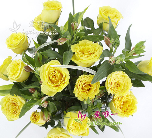 vase de fleurs avec des roses