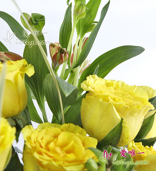 glasse vase with yellow roses