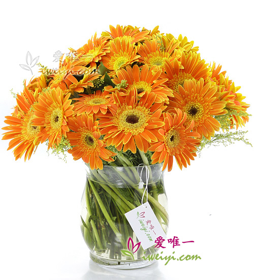 El jarrón de flores « Felicidad completa »