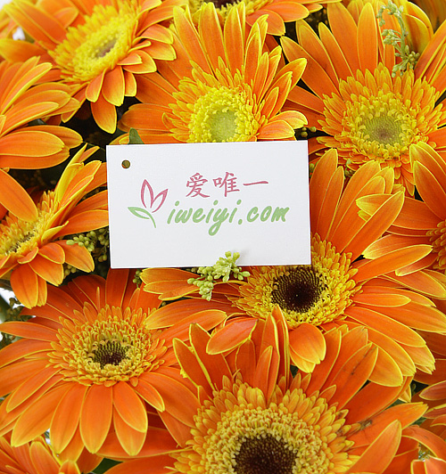 jarrón de vidrio con flores de gerbera
