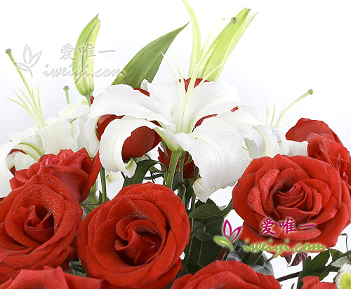 Vase of fresh red roses