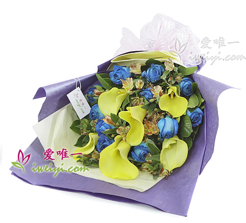 bouquet de roses bleues et de callas jaunes