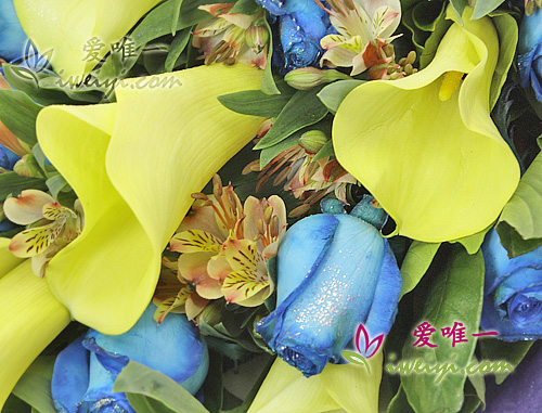send a bouquet of blue roses and yellow calla lilies to China