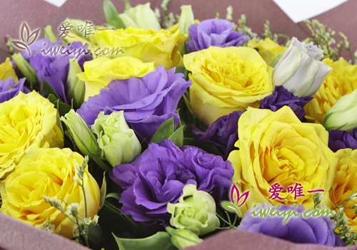 violet lisianthus