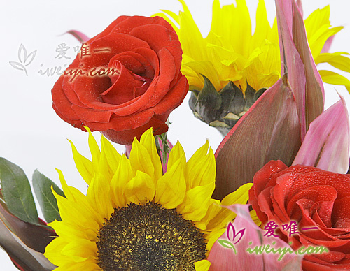 Red roses and sunflowers