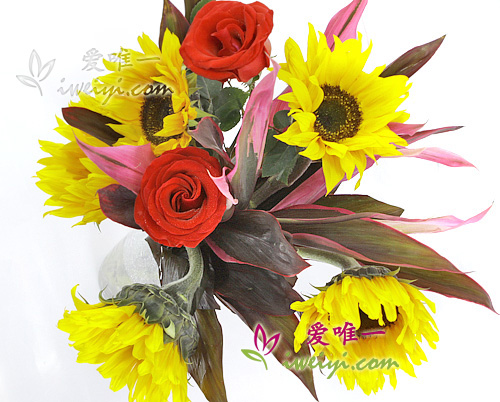 Vase of sunflowers and red roses