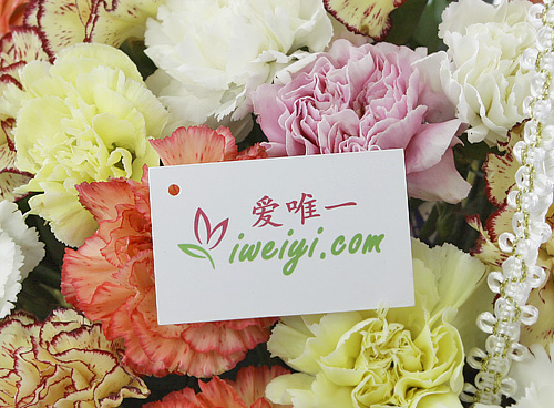send a basket of carnations to China