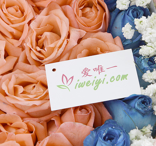 send a box of blue roses and pink roses to China