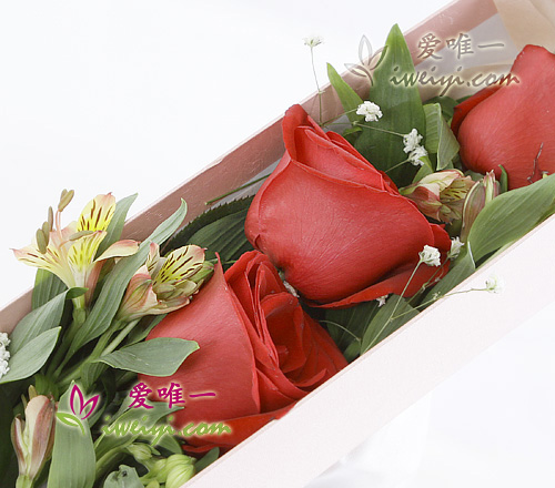 box of red roses