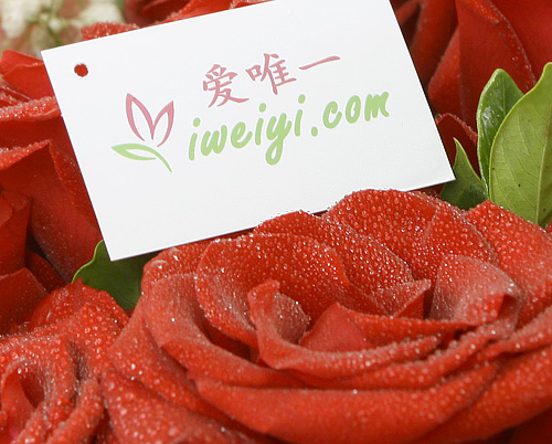 send a bouquet of red roses to China