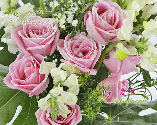 send a vase of pink roses to China