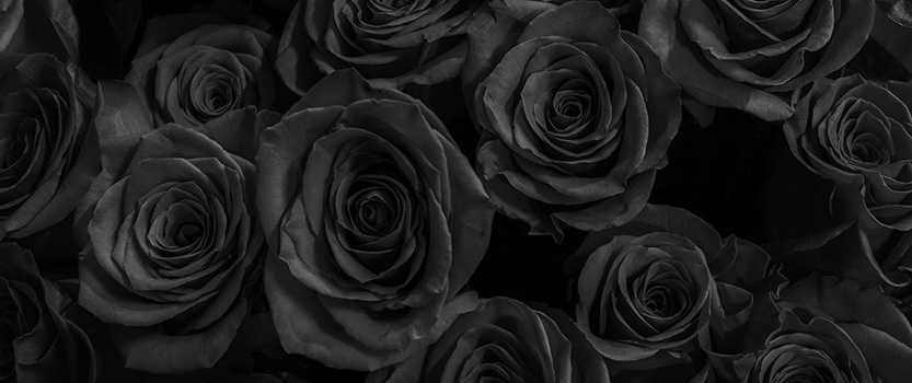 Black roses