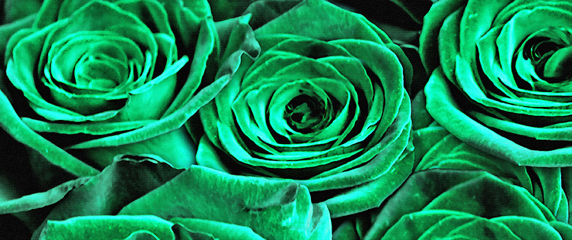 Green roses