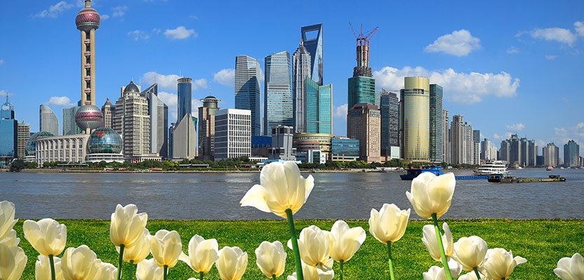 The delicate art of gifting flowers in Shanghai